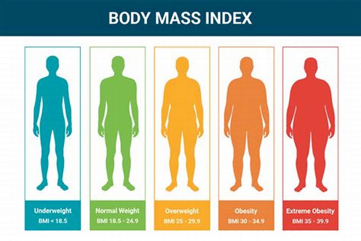 body mass index calculator